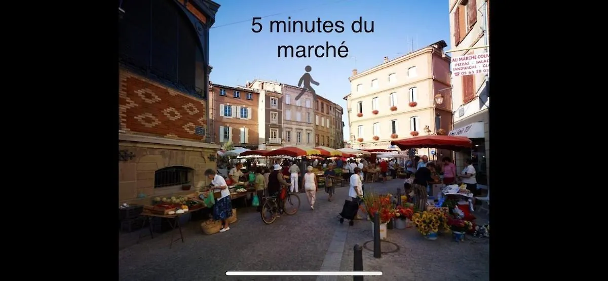 Appartamento Le Nid Du Pont Vieux Albi 0*,